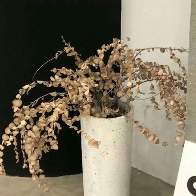 电白FurryQQ群介绍